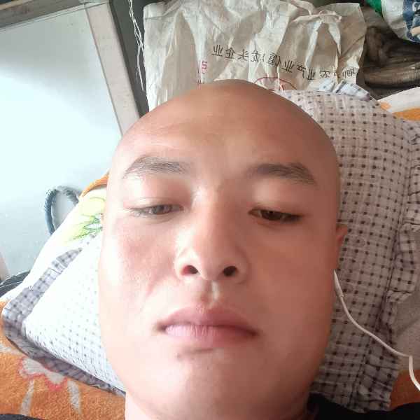驻马店征婚相亲网