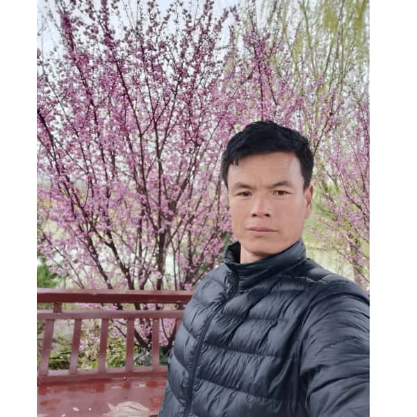 驻马店征婚相亲网