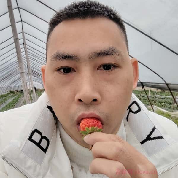驻马店征婚相亲网